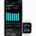 How To Sync Apple Watch To Fitbit App 11