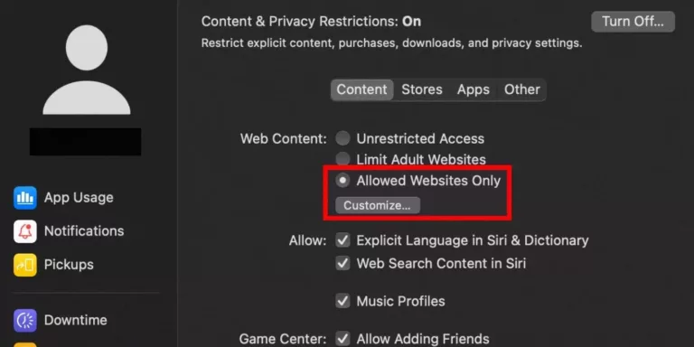 How To Allow Safari During Downtime 3