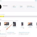 How To Delete iCloud Drive Storage 13