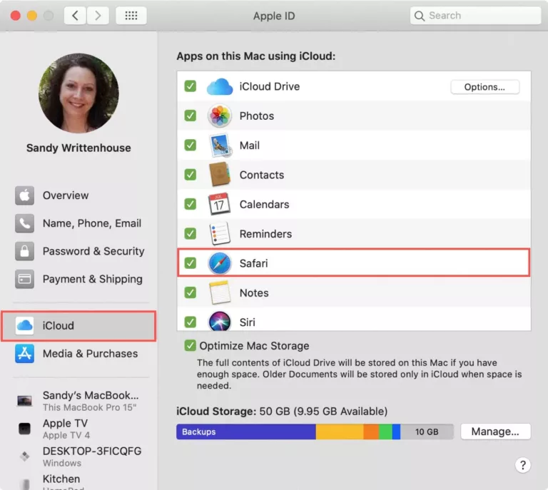 How To Delete Safari History From Icloud 13