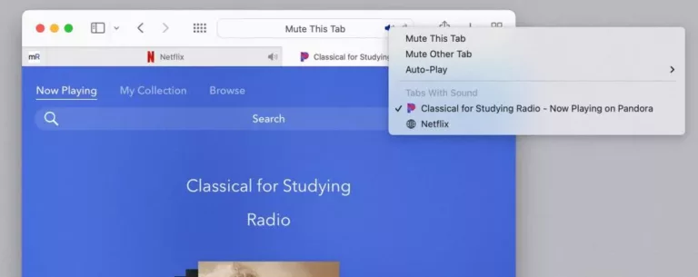 How To Mute Safari On Your iPhone, iPad, or Mac Computer 1