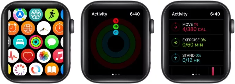 How To Check Total Calories Burned On Apple Watch 6 19