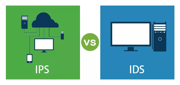 Difference Between IPS and IDS: Which Is Right for Your Network ...