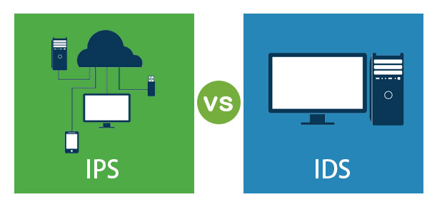 Difference Between IPS and IDS: Which Is Right for Your Network? 2 Difference Between IPS and IDS: Which Is Right for Your Network? 1