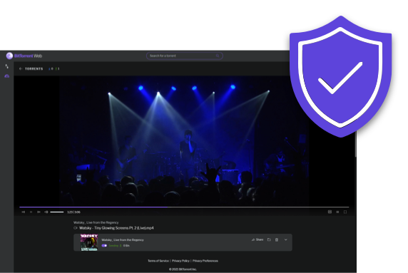 How to Protect Yourself While Torrenting: Is BitTorrent Safe? 9