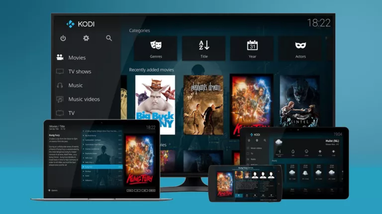 How to Install Kodi on Android, Firestick, Smart TV & More 9