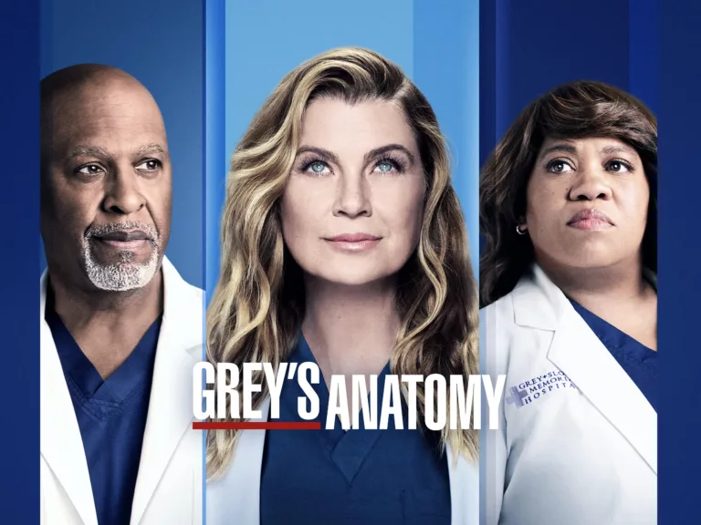 Where to Watch 'Grey's Anatomy' Season 18 3