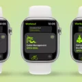 How To View Workouts On Apple Watch 15