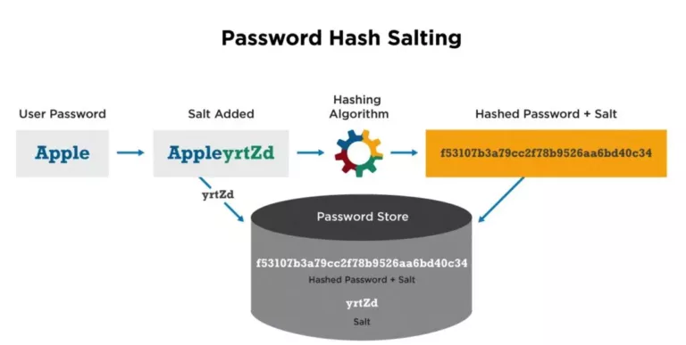How to Keep Your Passwords Secure Using Hashing and Salting 19