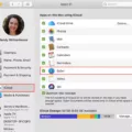 How To Turn Off Safari Syncing With iCloud 3