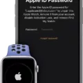How To Unlock Your Apple Watch Without iCloud Password 14 How To Unlock Your Apple Watch Without iCloud Password 13