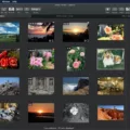 How To View Raw Photos On Mac 15