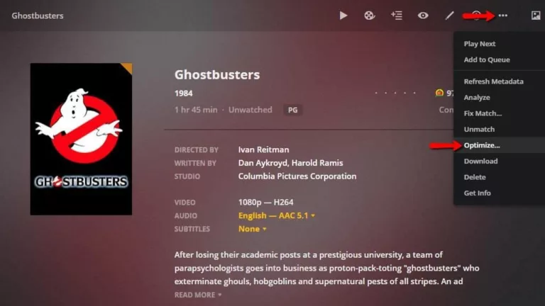 How to Stream Your Favorite Movies with Chromecast and Plex 17