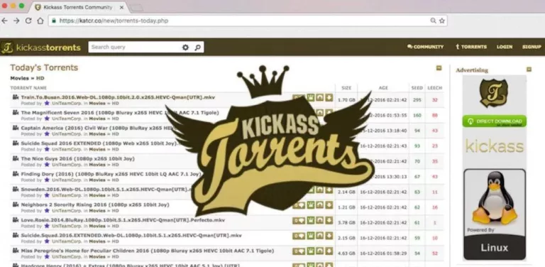 The Rise and Fall of Kickass Torrents 3
