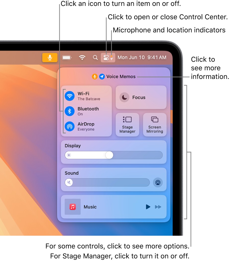 How To Get Rid Of The Microphone Icon On Your Mac 7