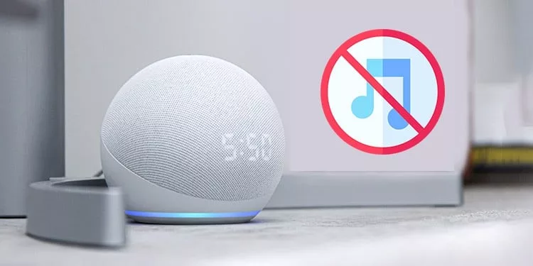 Why Alexa Might Not Play Music and How to Fix Them? 3