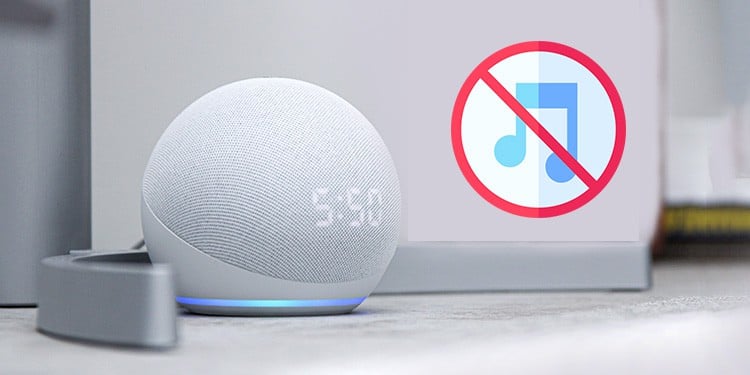 Why Alexa Might Not Play Music and How to Fix Them? 1