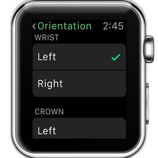 How to Switch Your Apple Watch to Your Right-Hand? 15