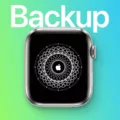How to Manually Backup Your Apple Watch? 7