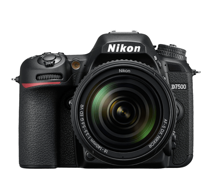 How to Transfer Photos from Your Nikon D7500 to Your Computer? 1