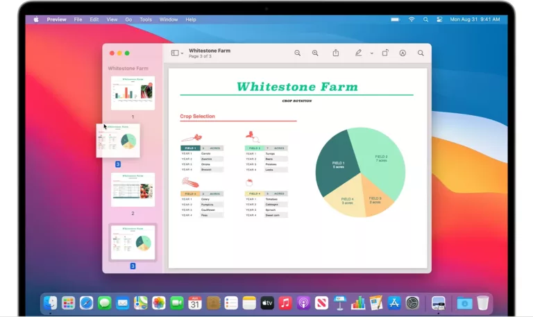Where To Find and Use Preview App On Mac? 15
