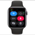 What Does The Red Phone Icon Mean On Apple Watch? 11