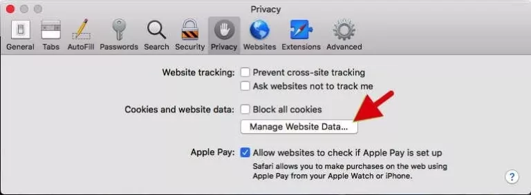 How to Remove Website Data on Safari? 15