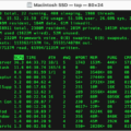 How to Reset Shell on Your Mac? 9