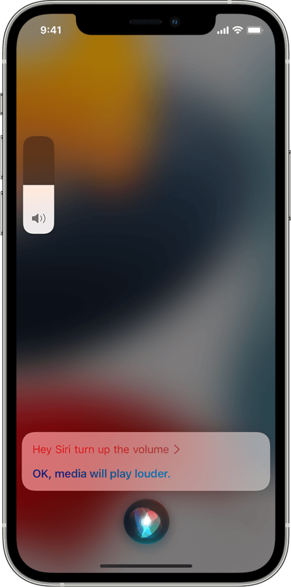 How to Fix Siri Volume Issues? 1