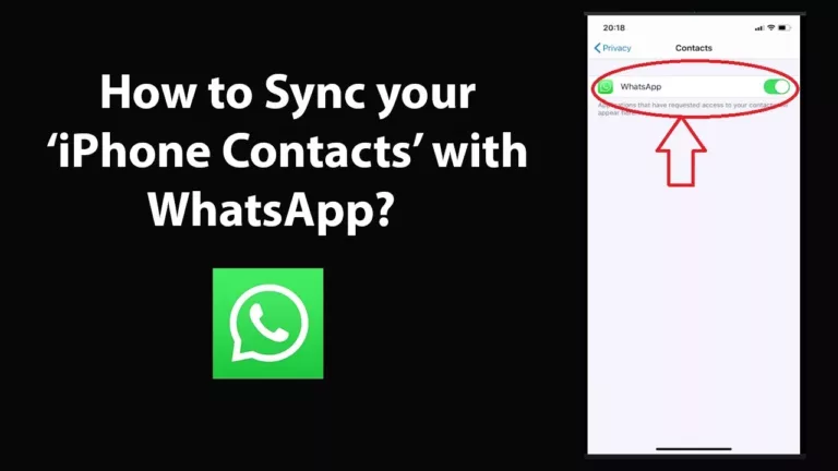 How to Easily Sync Your iPhone Contacts with WhatsApp? 15