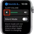 How to Quickly Turn Off Volume on Your Apple Watch? 5