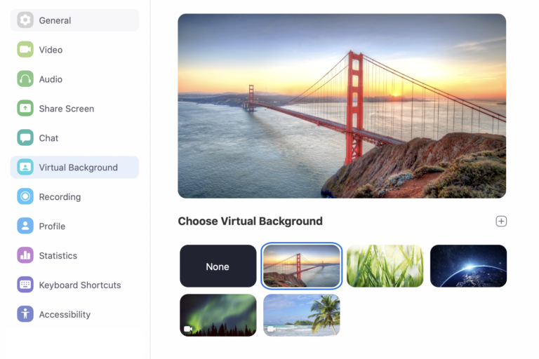 How to Use Virtual Backgrounds in Zoom on Mac? 3