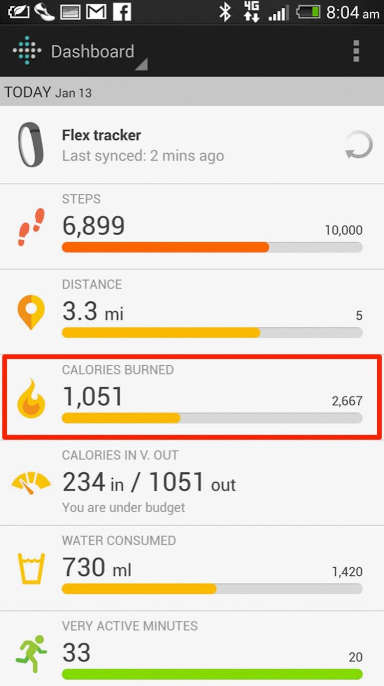 fitbit calorie tracker
