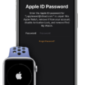 How to Sign in to iCloud on Your Apple Watch? 13