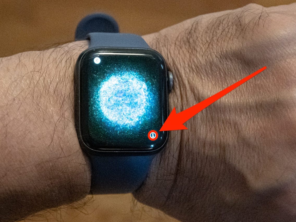 What the 'i' icon on an Apple Watch Does, and How to Use It? 1