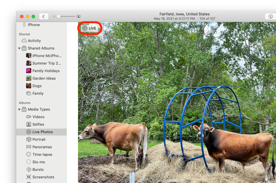 How to Transfer Your Live Photos from Your iPhone or iPad to Your Mac? 3