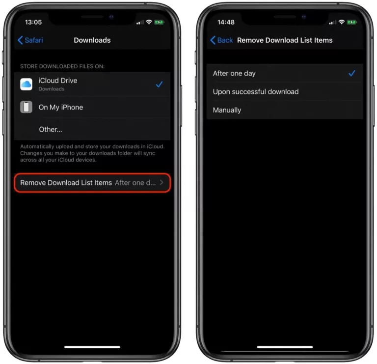 How to Delete Downloaded Files in Safari? 9