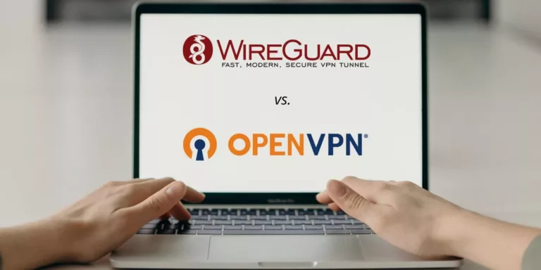 WireGuard vs OpenVPN: Which VPN is Best for You? 19
