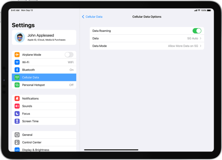 Do I Need Cellular on My iPad? 3