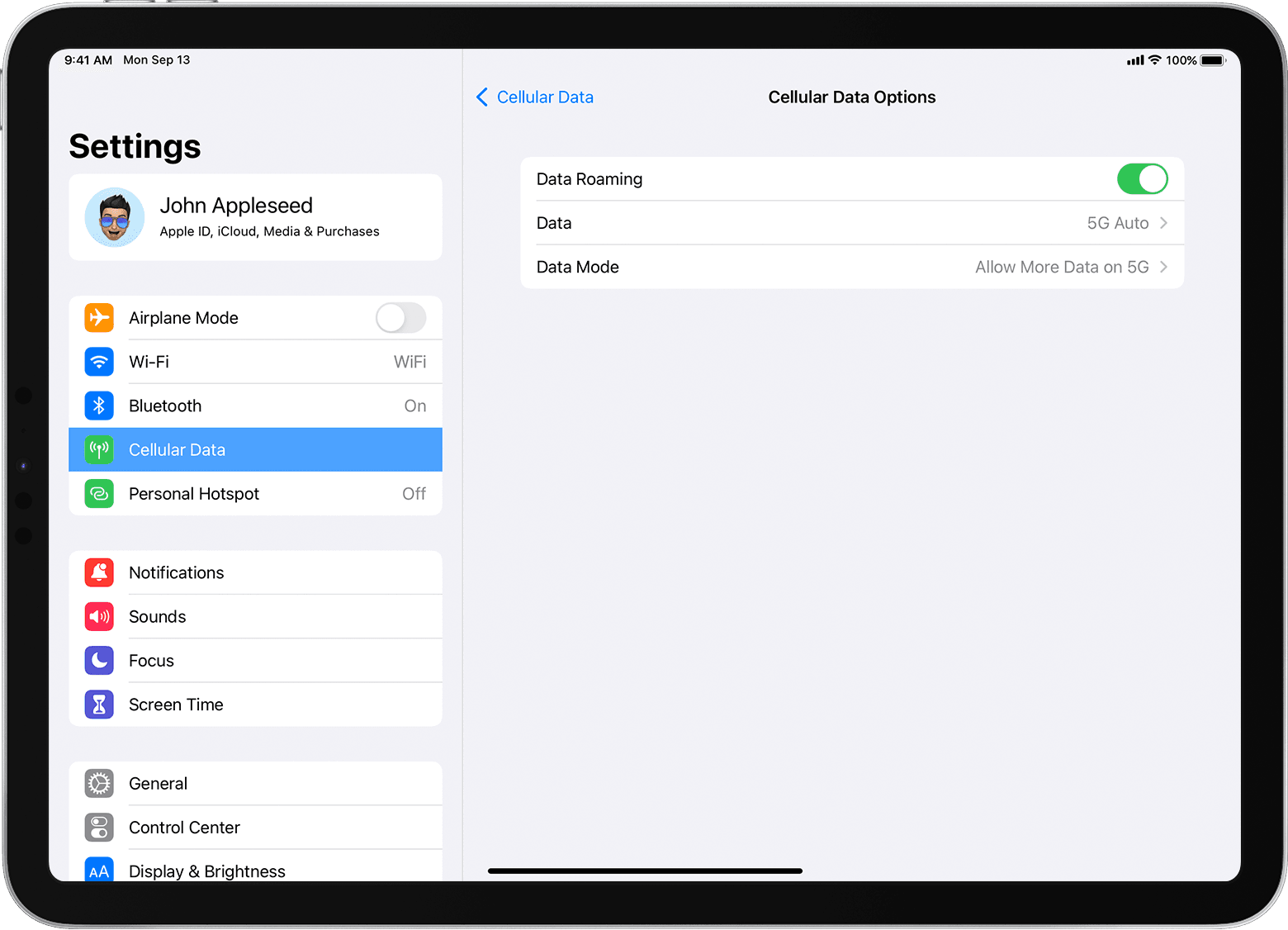 how do i add cellular data to my ipad verizon