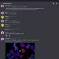 What Happens When Your Discord Account is Disabled? 16 What Happens When Your Discord Account is Disabled? 15