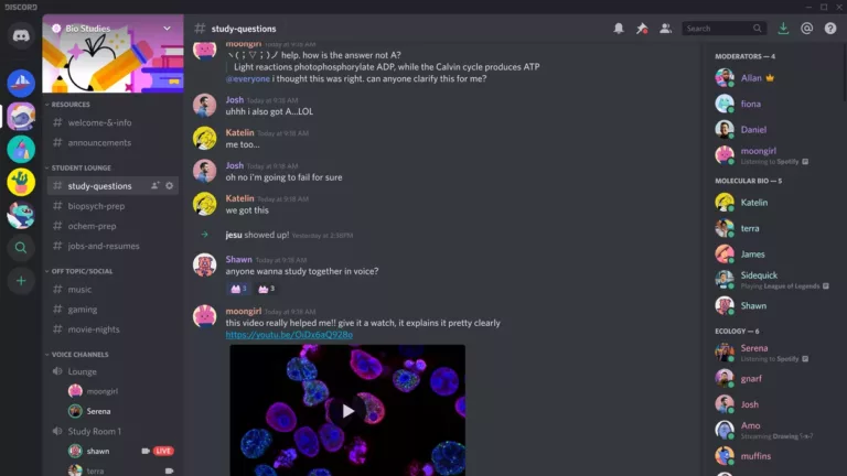 How to Get Someone's Discord ID? 14