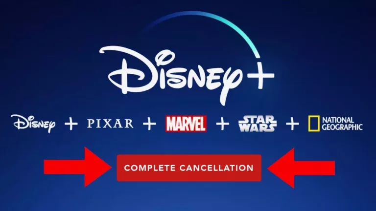 How to Cancel Disney Plus Subscription? 15