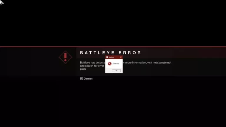 How to Fix Error Code Plum in Destiny 2? 9