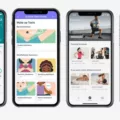 How Much Does Fitbit Premium Cost? 17