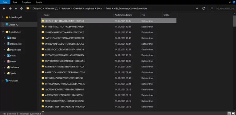 How to Find Your Grounded Save File on Windows? 5