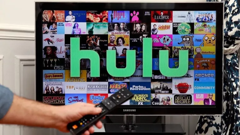 Causes of Hulu Streaming Issues and How to Fix Them? 1