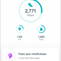 How to Manually Log Your Steps with Fitbit? 17