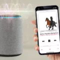 How to Play Music On Alexa From Your Phone? 14