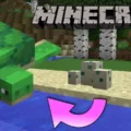 How Long Do Turtle Eggs Take To Hatch in Minecraft? 9